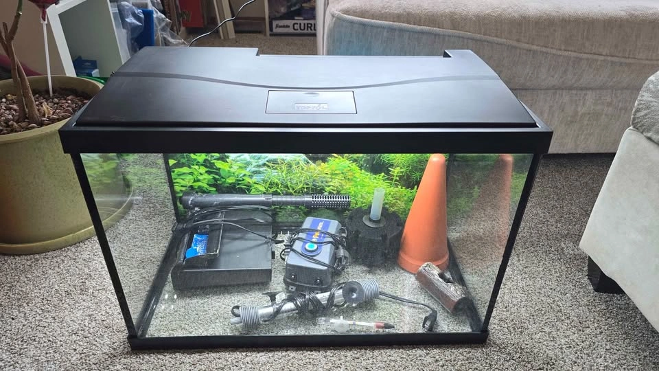 25gal Aquariums - photo 2