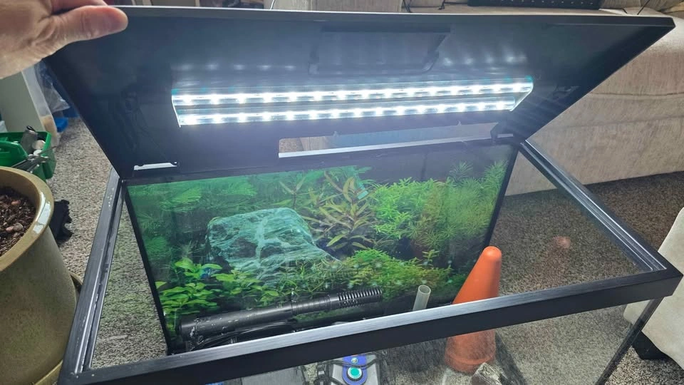 25gal Aquariums - photo 3