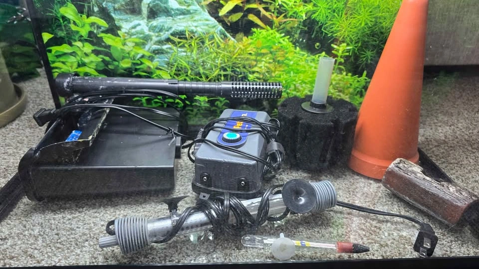 25gal Aquariums - photo 4