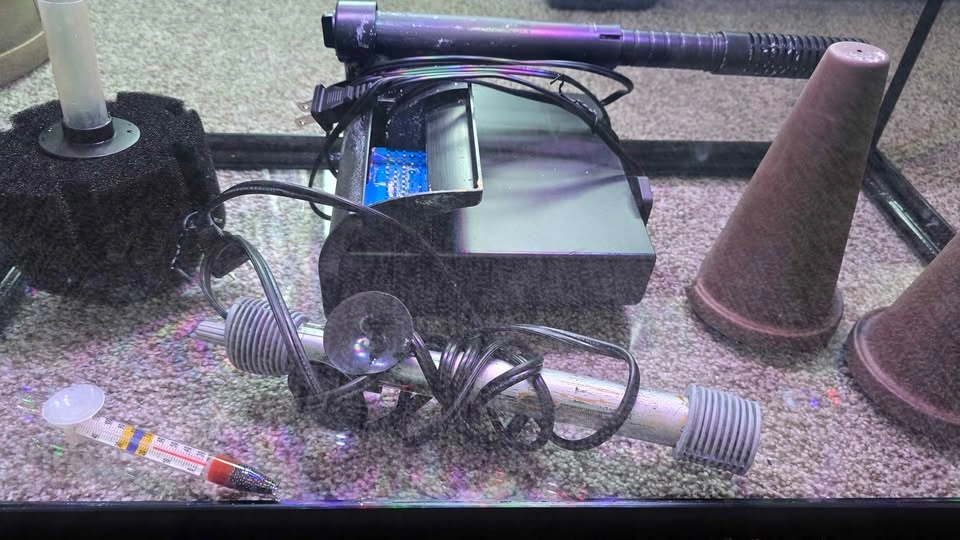 25gal Aquarium - photo 4