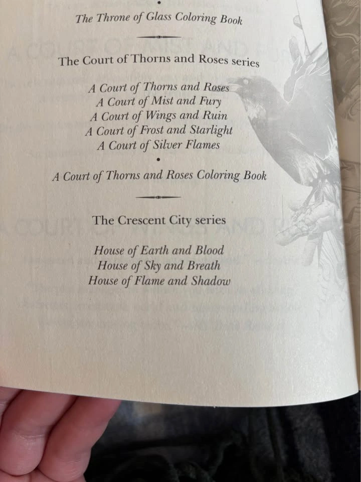 Softcover Book: Crescent City Series Book #2 - House of Sky and - photo 3