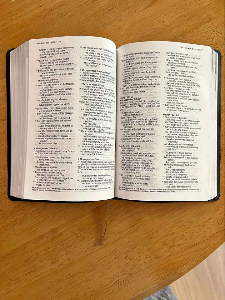 NLT recovery bible- brand new