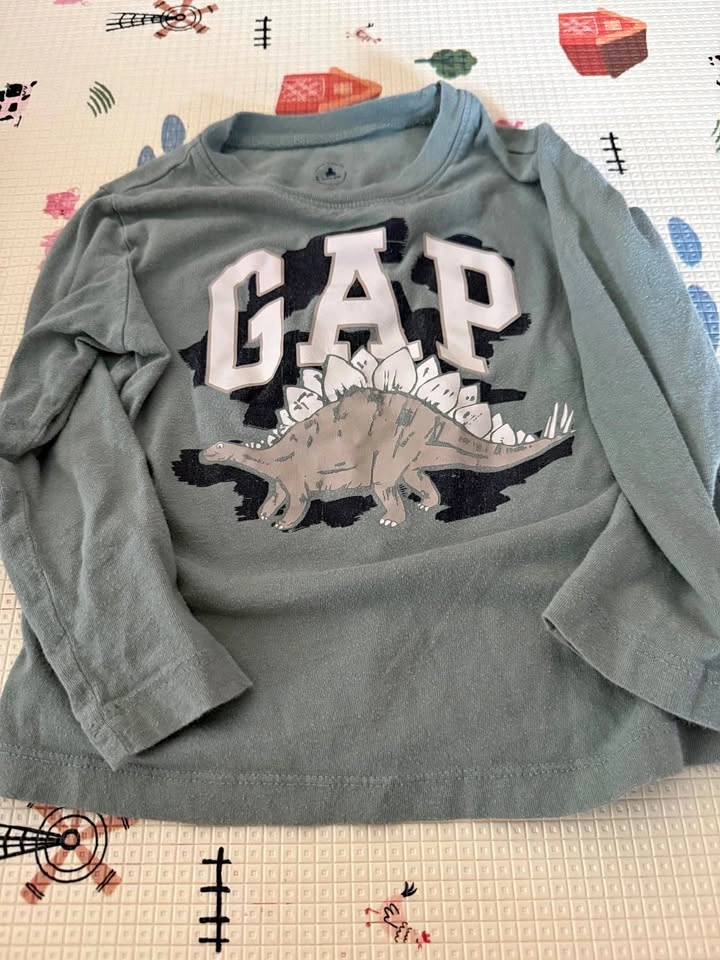 Baby Gap 3T Stegosaurus Long Sleeve Shirt