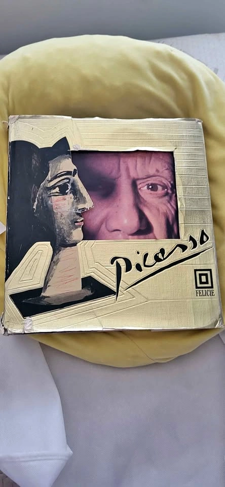 Picasso Art Book by Felicie