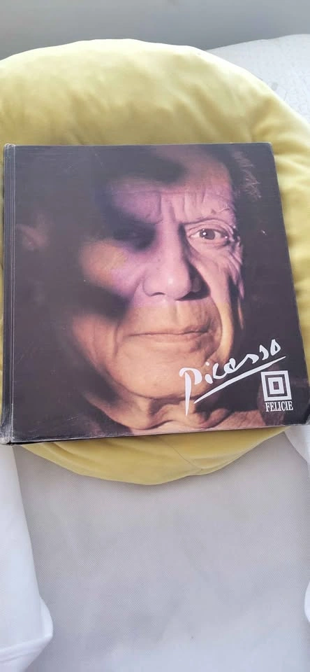 Picasso Art Book by Felicie - photo 2