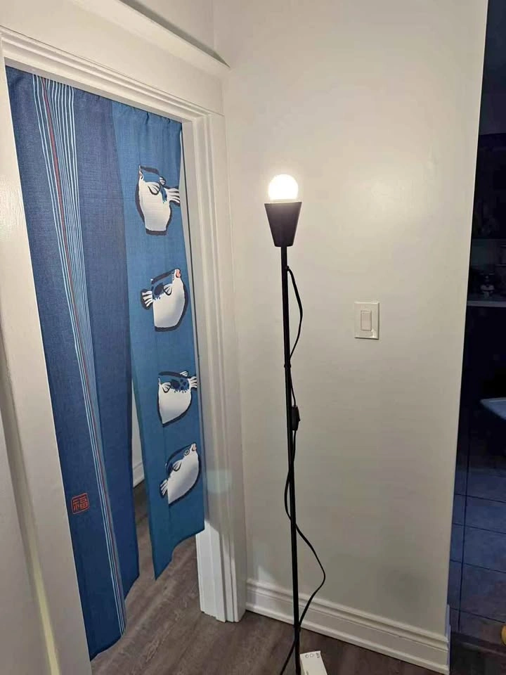 Black Floor Lamp