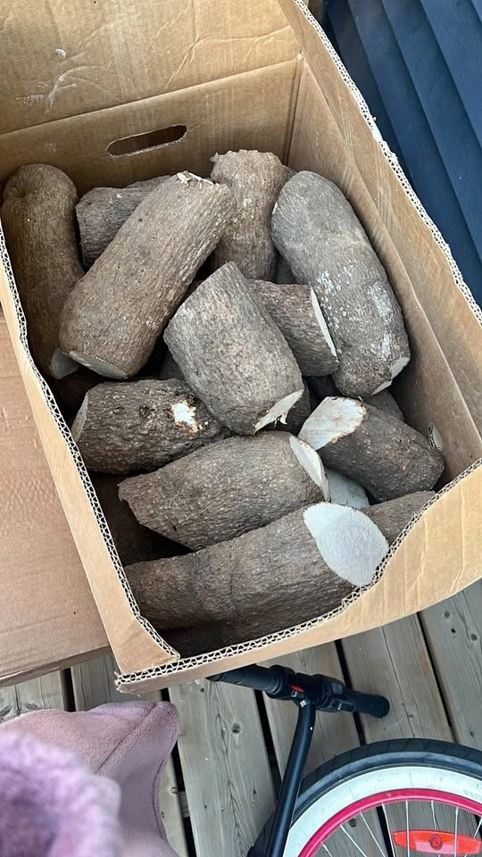Fresh Cut Yam (Old Yam)