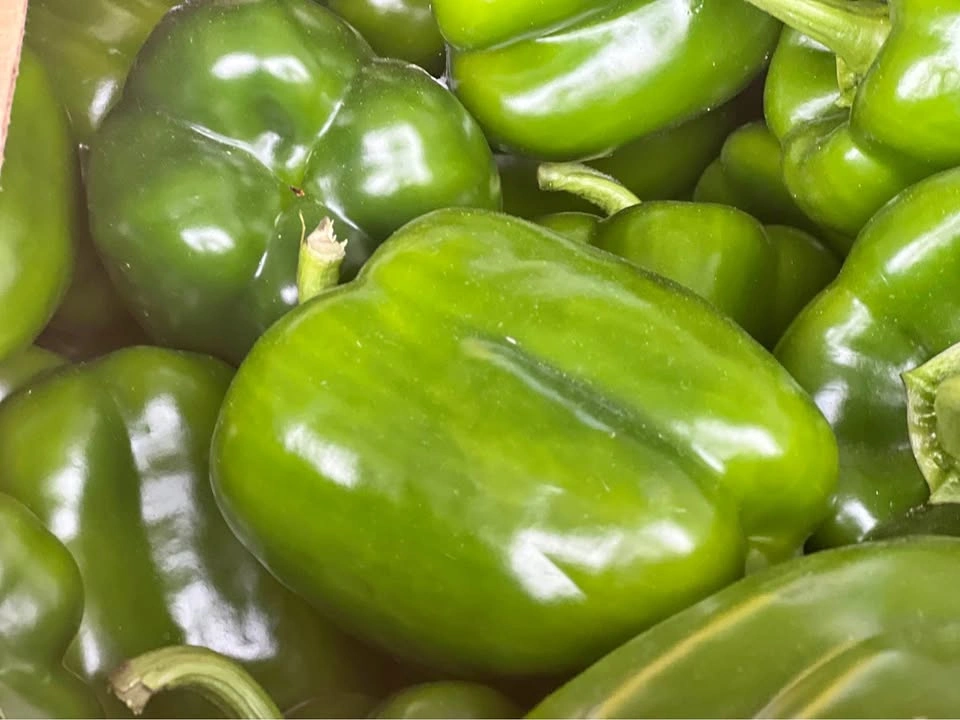 Bell Pepper Red and Green