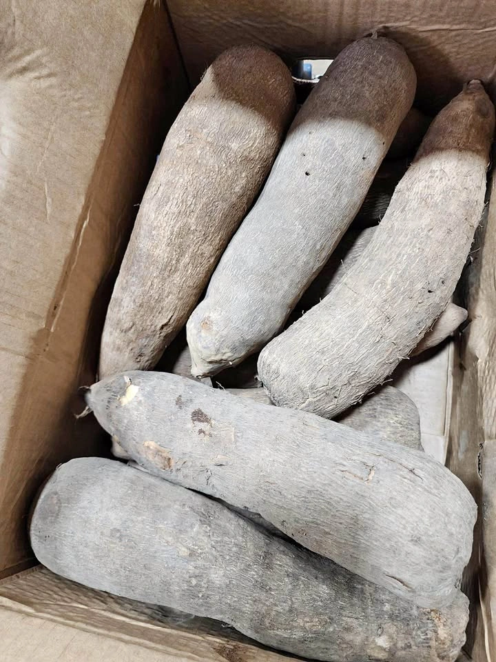 New Yam