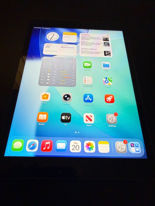 iPad 9th Gen 256GB