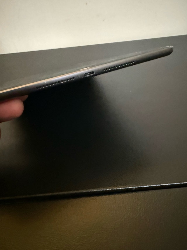 iPad 9th Gen 256GB - photo 4