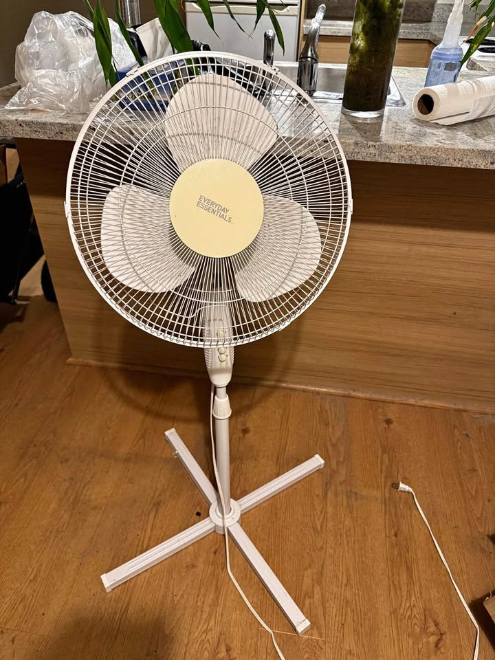 Everyday Essentials Pedestal Fan