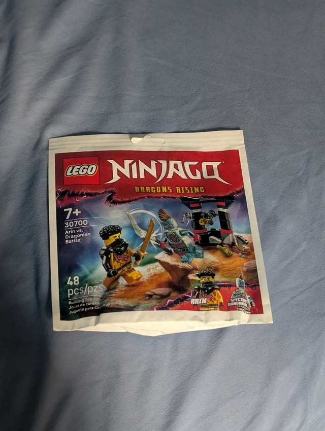 LEGO Ninjago Arin vs. Dragonian Battle 30700