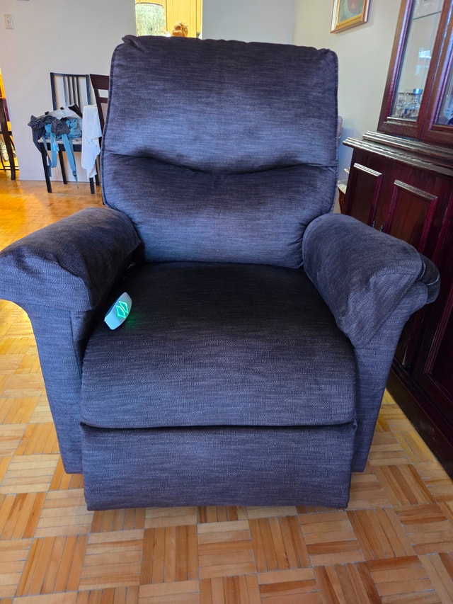 Power Recliner - Grey - Electric w/ Remote - from The Brick