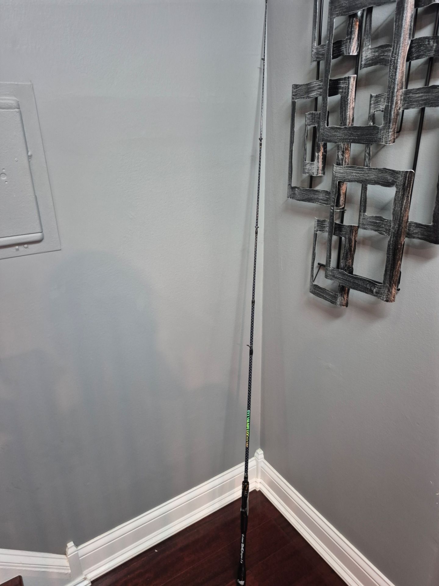 Fishing Spinning Rod New