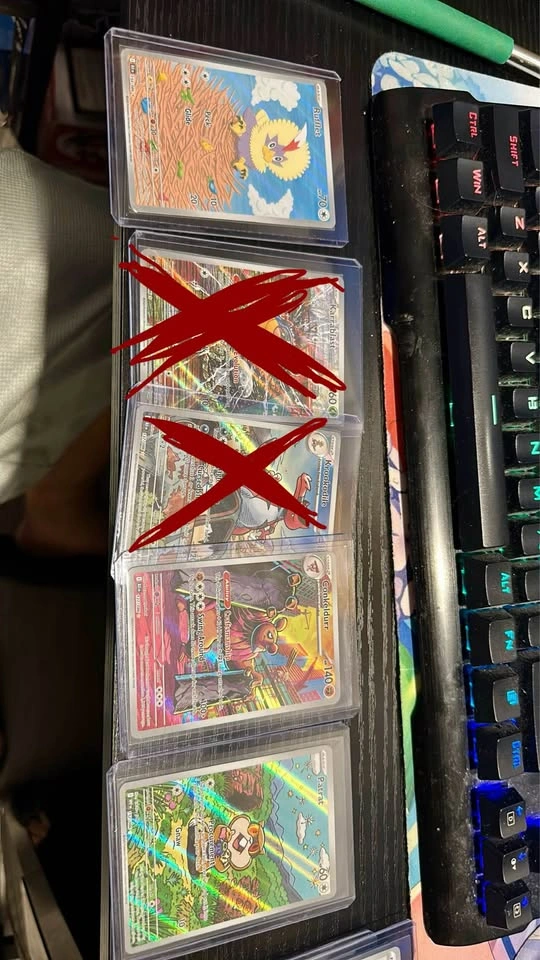 Black Bolt & White Flare IR Pokemon Cards