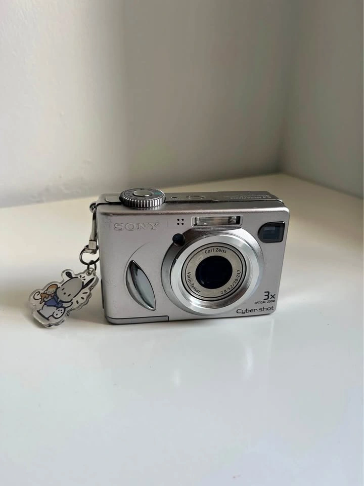 Sony Cybershot DSC-W5 Digital Camera