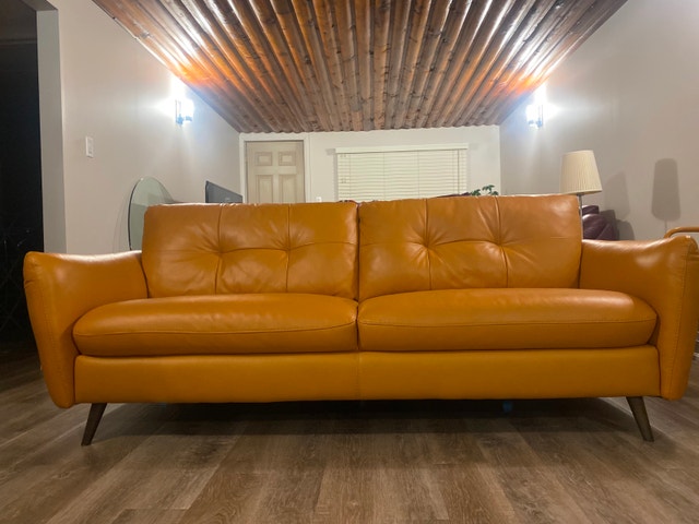 Modern Leather Loveseat