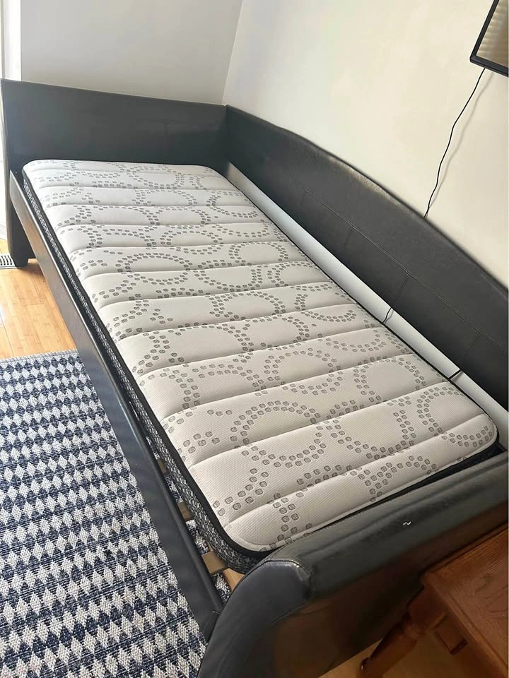 Sealy Essentials Twin Daybed with Trundle & Mattress