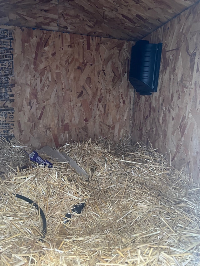 Large insulated dog-house - photo 5