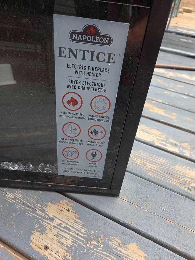 electric fireplace - photo 2