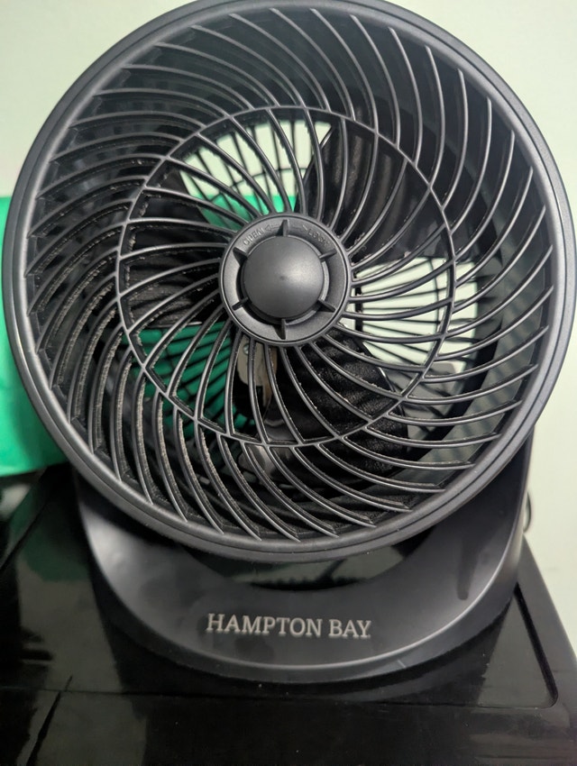 Hampton Mini Black Desk Fan