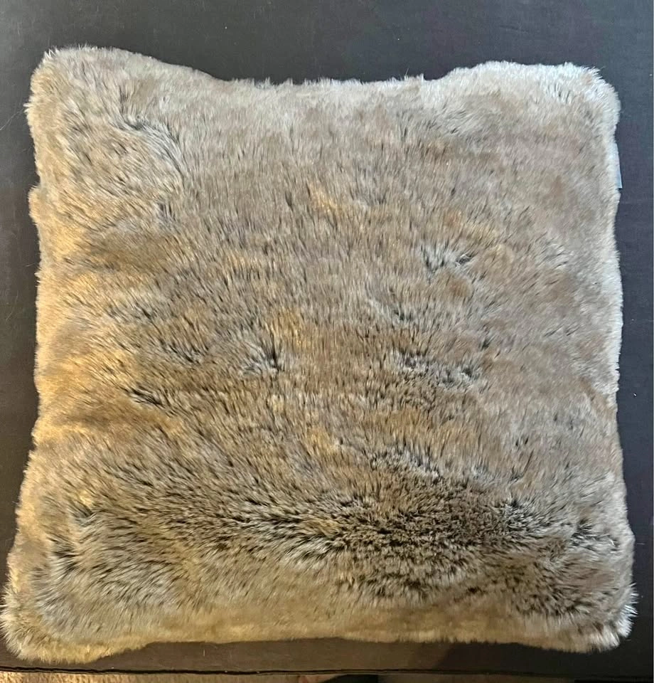 Couch throw pillow in light brown