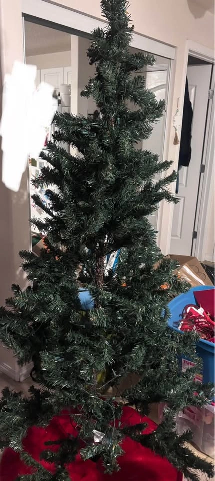 Christmas tree - photo 2