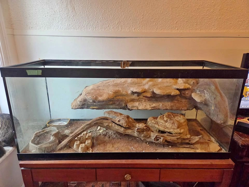 75 gallon custom tank for reptile