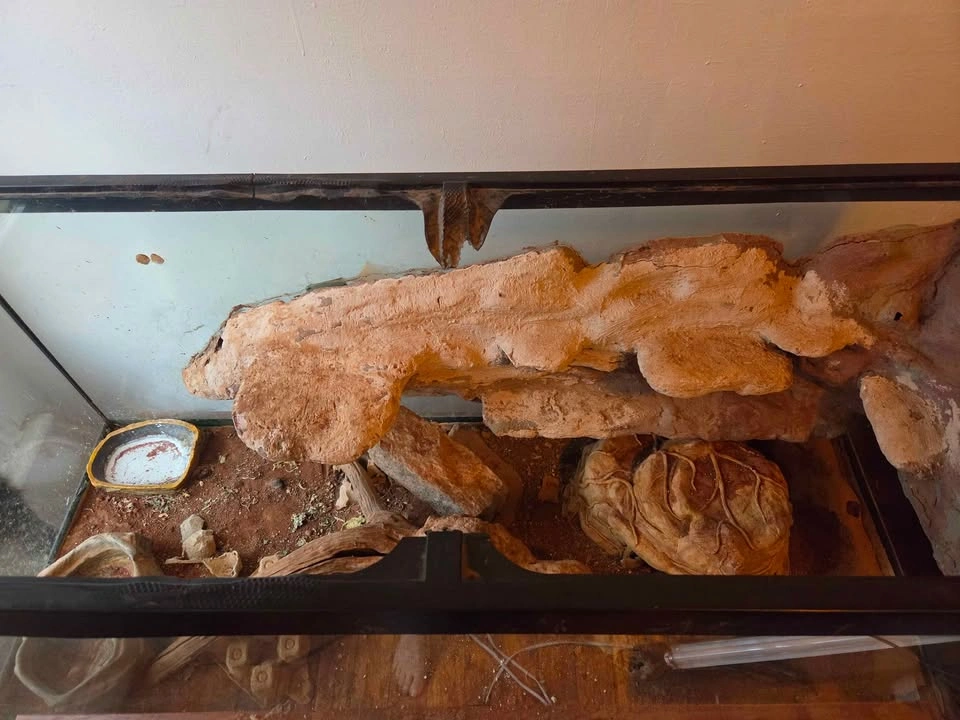 75 gallon custom tank for reptile - photo 2