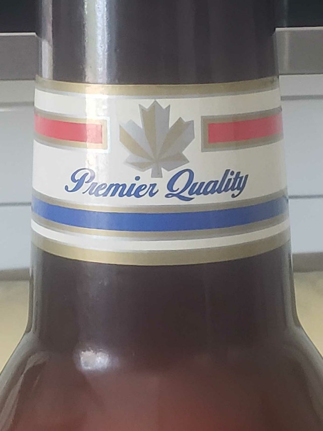 Vintage Large 23.5" Molson Canadian Beer Bottle Coin Bank - photo 3