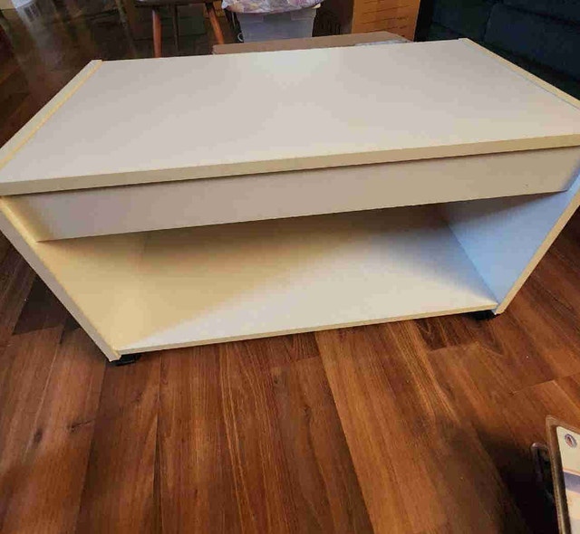 Modern White TV Stand / Storage Unit on Wheels (27 x 14 x 17)