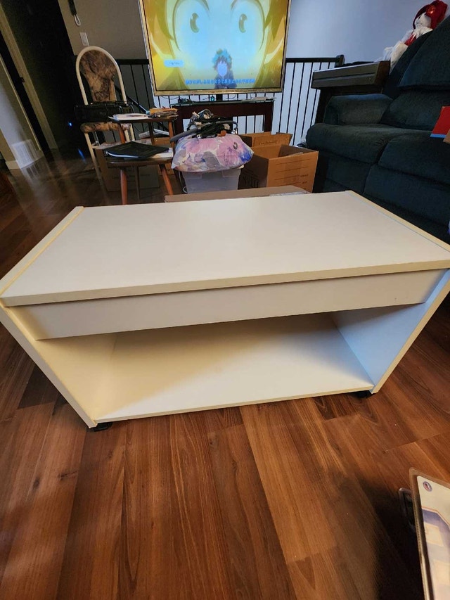 Modern White TV Stand / Storage Unit on Wheels (27 x 14 x 17) - photo 3
