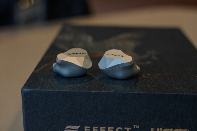 Canpur Silver Flash In Ear Monitors - photo 2