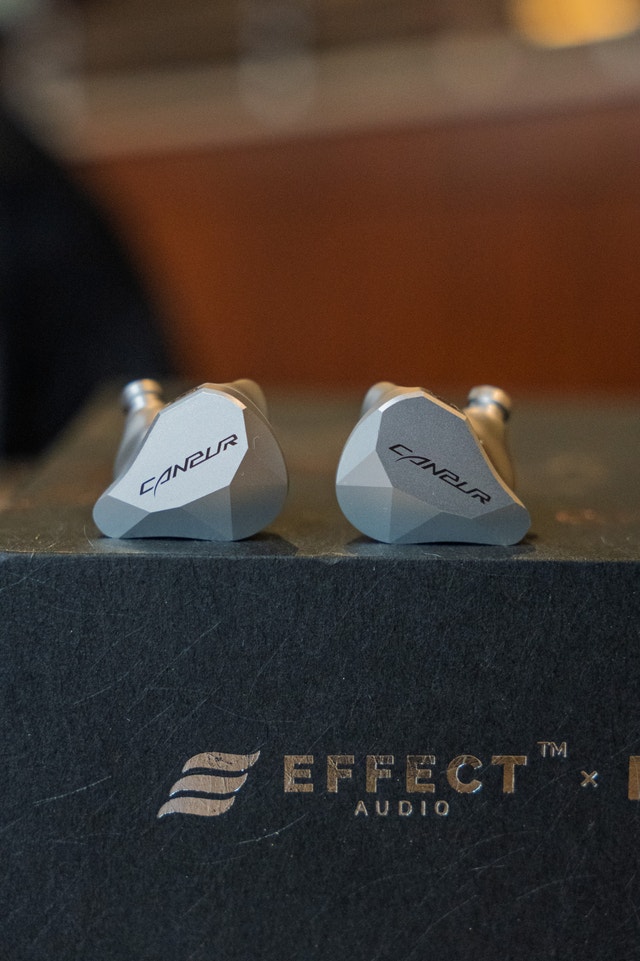 Canpur Silver Flash In Ear Monitors - photo 5
