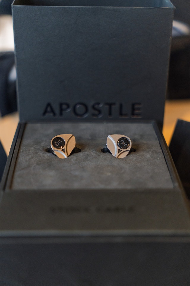 Elysian Apostle 2025 In Ear Monitors - photo 2