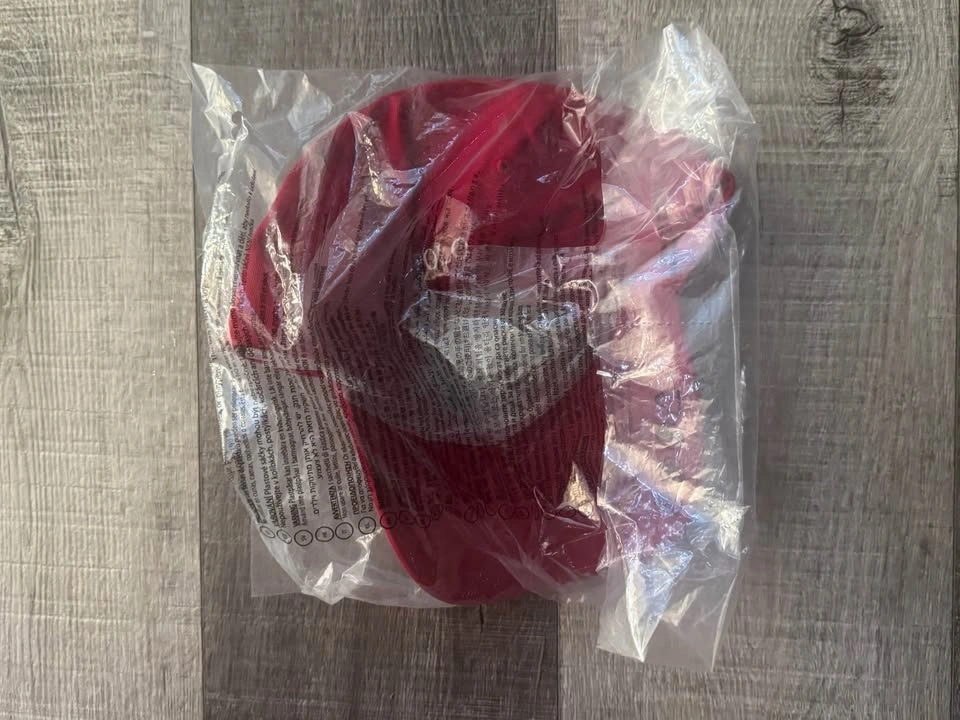 NEW IN BAG Ralph Lauren POLO BEAR Dad Hat RED Baseball Cap - photo 4