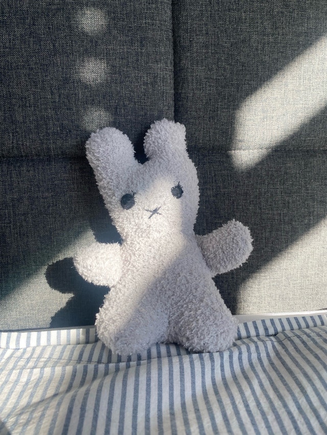 Home Made Plushy