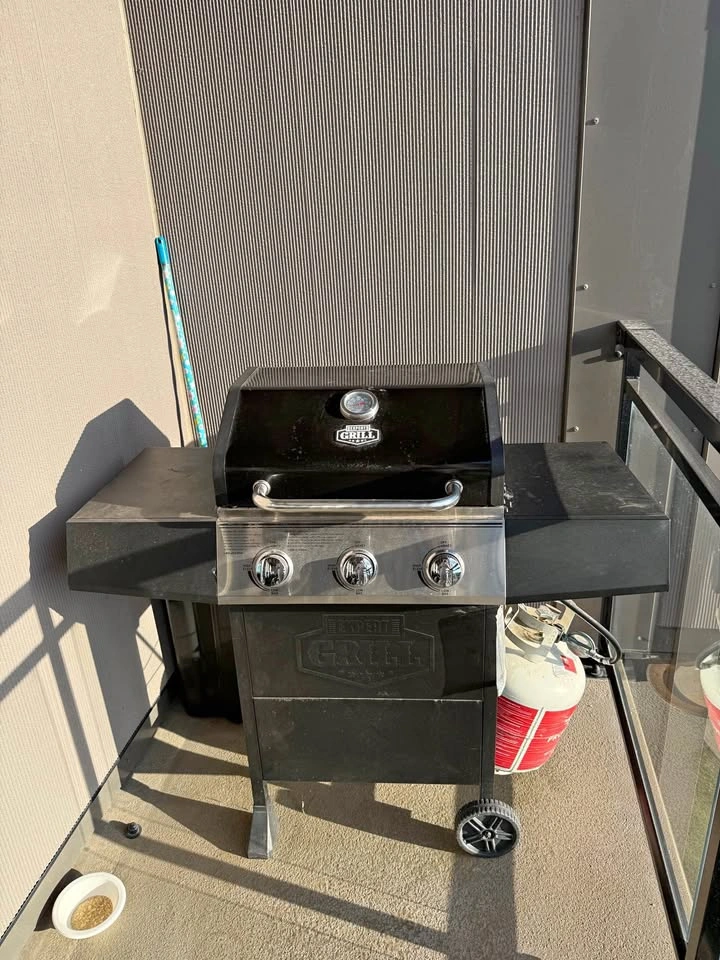 Expert Grill 3-Burner Propane Gas Grill set