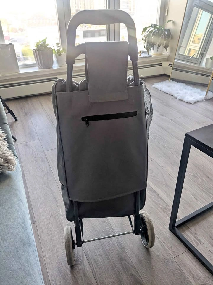 Grey Rolling Shopping Cart