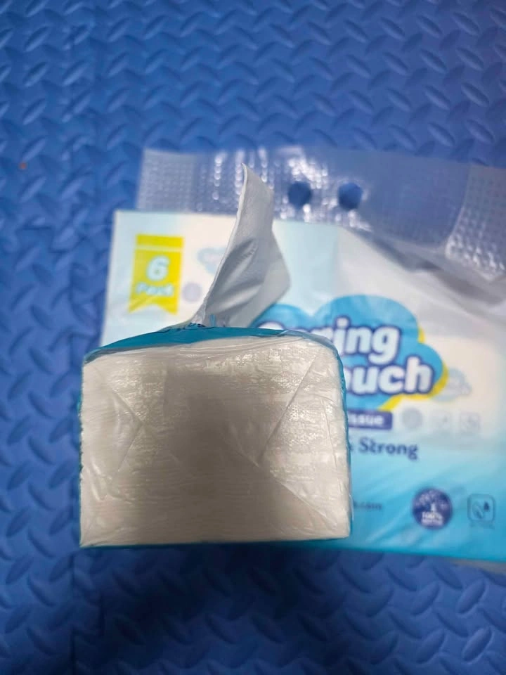 4-Ply Facial Tissue - 6-Pack (600 Sheets Total) - photo 2