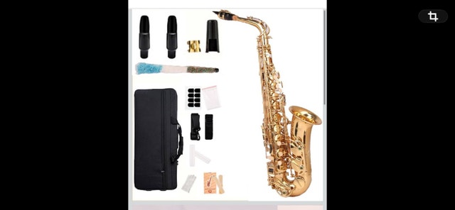 saxophone instrument with case