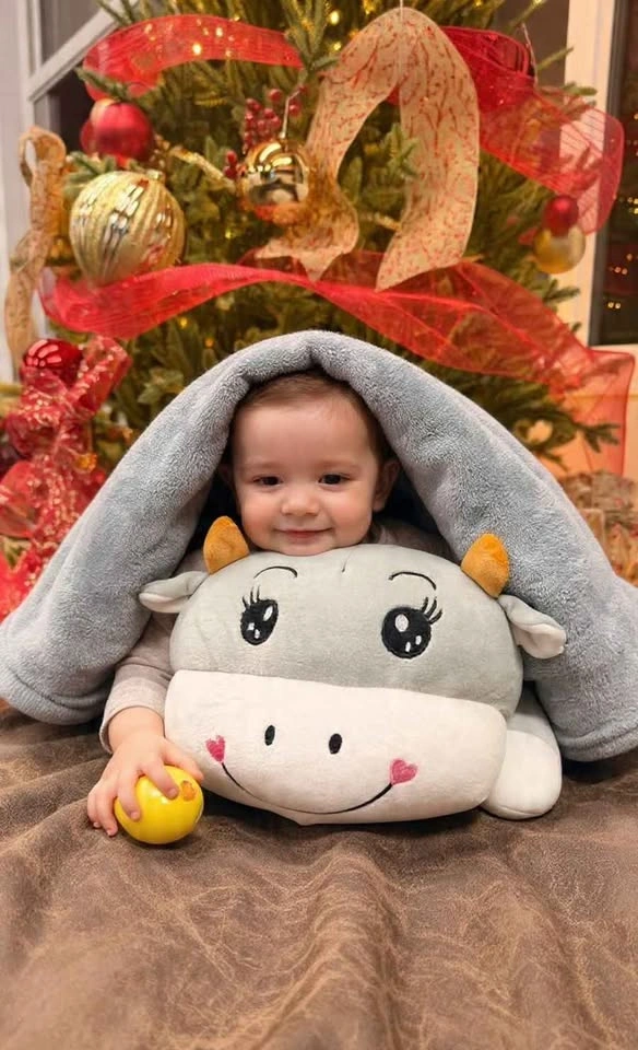 3-in-1 Plush Cow Pillow & Cozy Fleece Blanket Set - photo 2