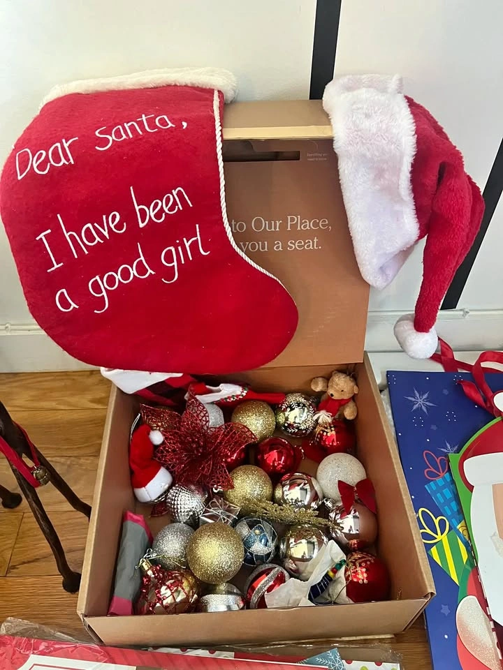 Christmas Ornaments and Decor - Small Box