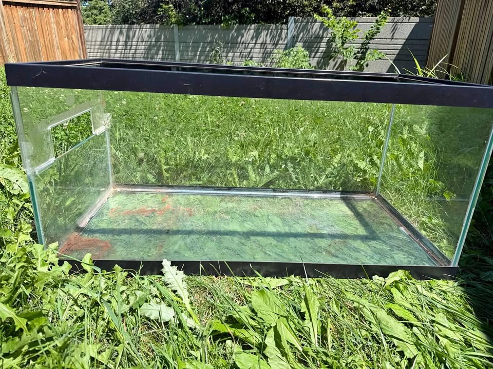 Terrarium