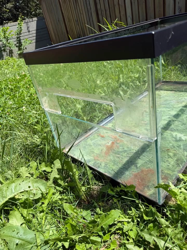 Terrarium - photo 2