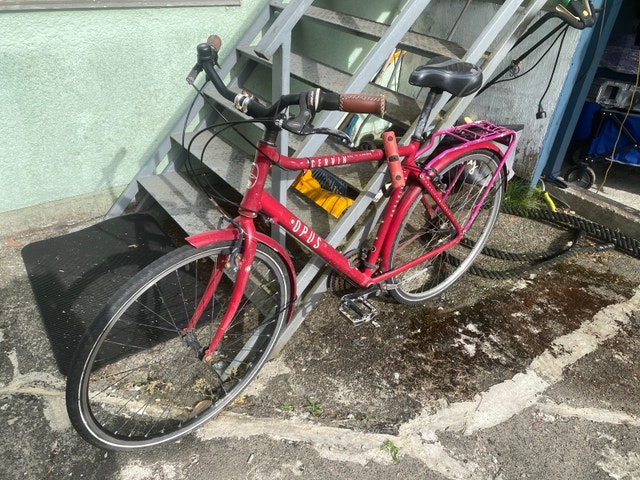 Opus Cervin City Bike