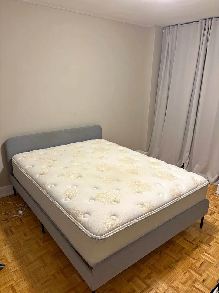 FREE Queen Bed Frame and Mattress