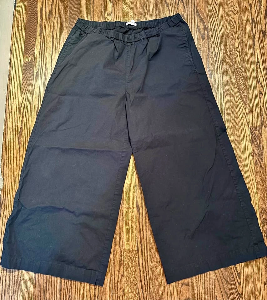 Eileen fisher pants