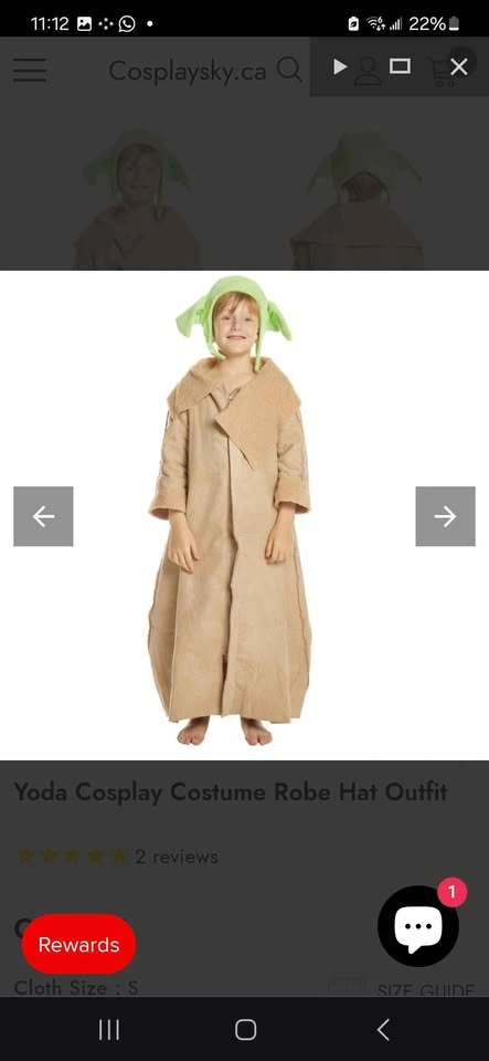 Halloween Costumes - photo 4